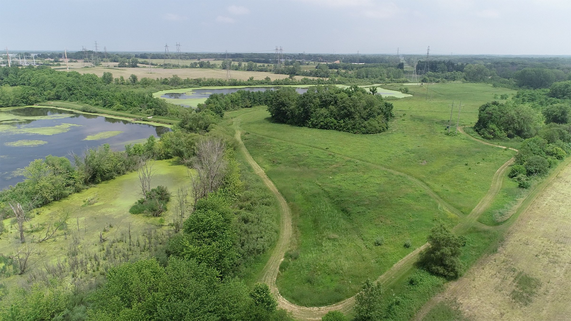 Lake County, Indiana farmland - LAND AUCTION - 147+/- ACRES OFFERED IN 3 TRACTS IN LAKE COUNTY, INDIANA
